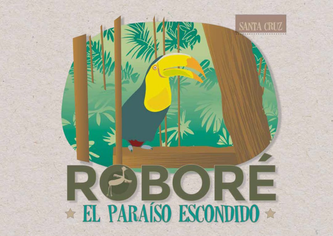 Campaña para Roboré ( Bolivia )